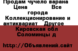 Продам чучело варана › Цена ­ 15 000 - Все города Коллекционирование и антиквариат » Другое   . Кировская обл.,Соломинцы д.